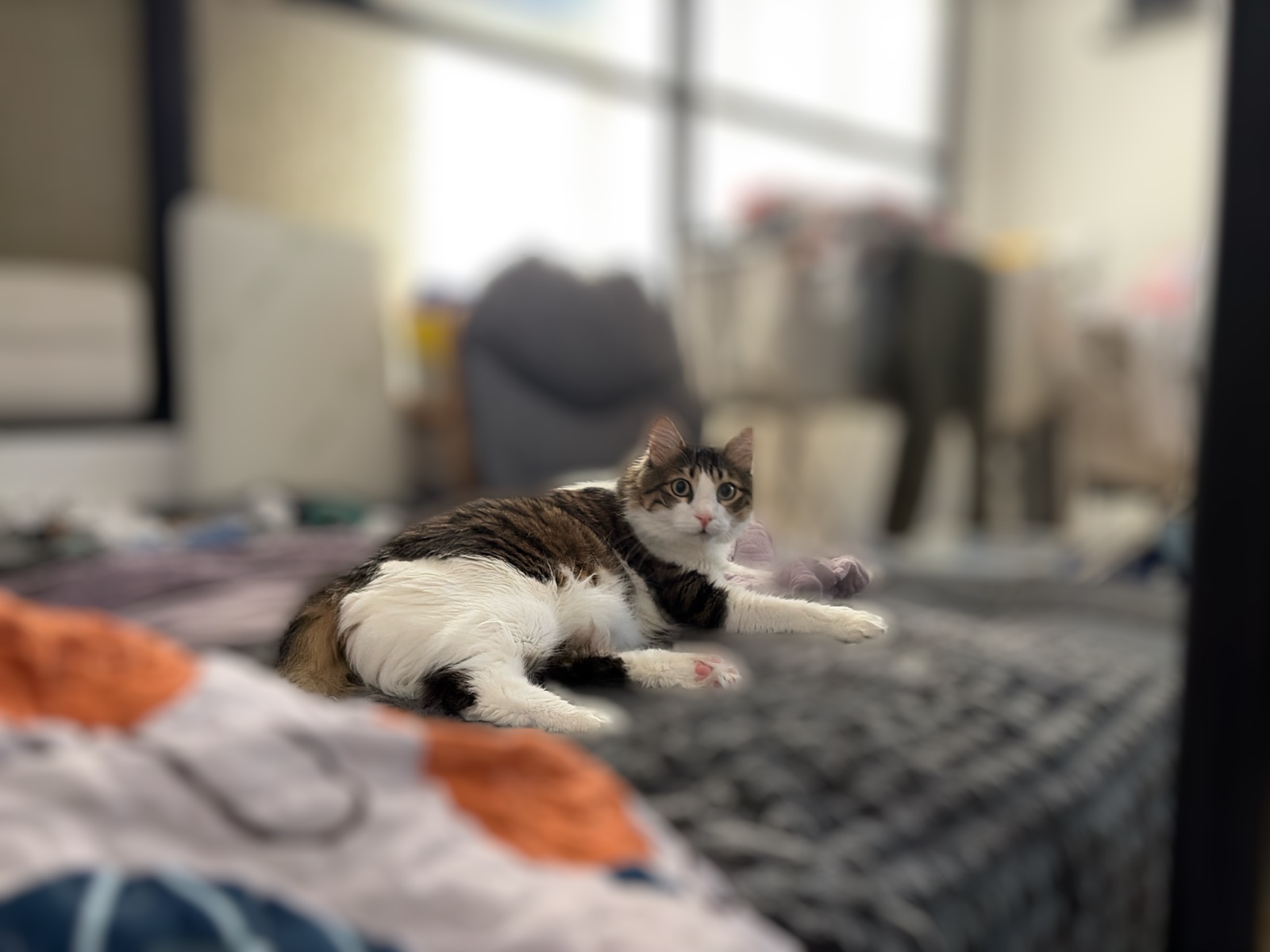 A Depthly result - flat photo turned into a cinematic portrait